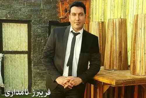 فریبرز نامداری چنانی